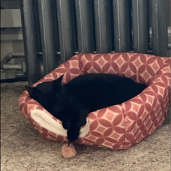 Meet your Posher, Jacqueline - Picture 1 of 1